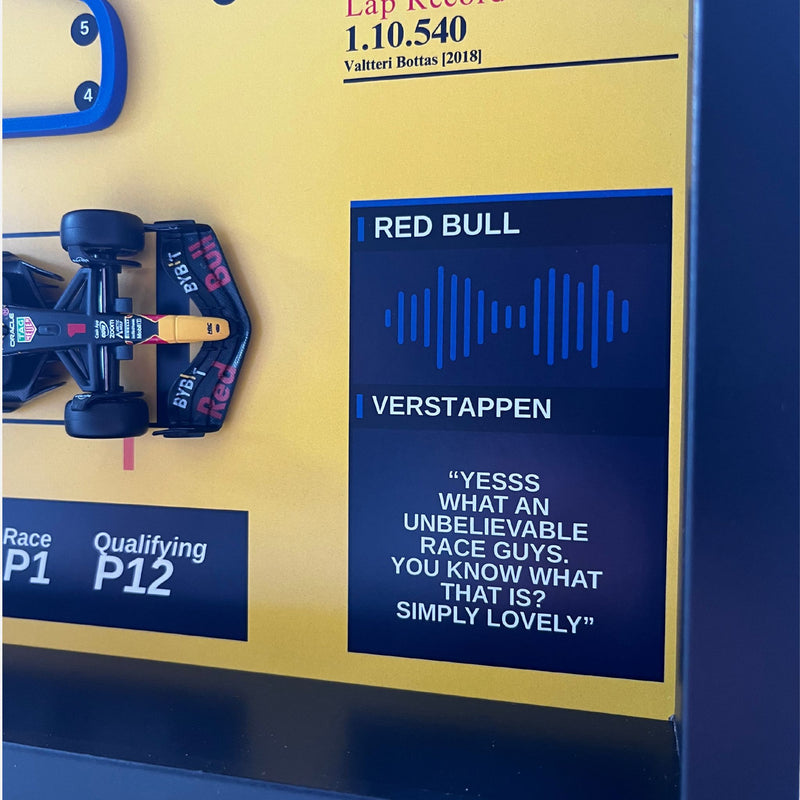 Max Verstappen - Brazil 2024 "Simply Lovely" 3D Art